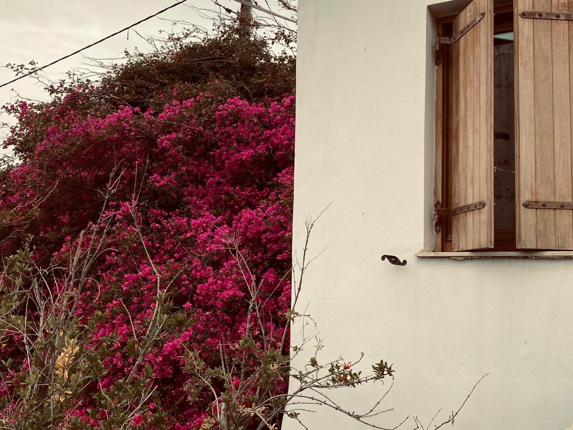 Holiday home κυκλαδίτικο στα Kionia